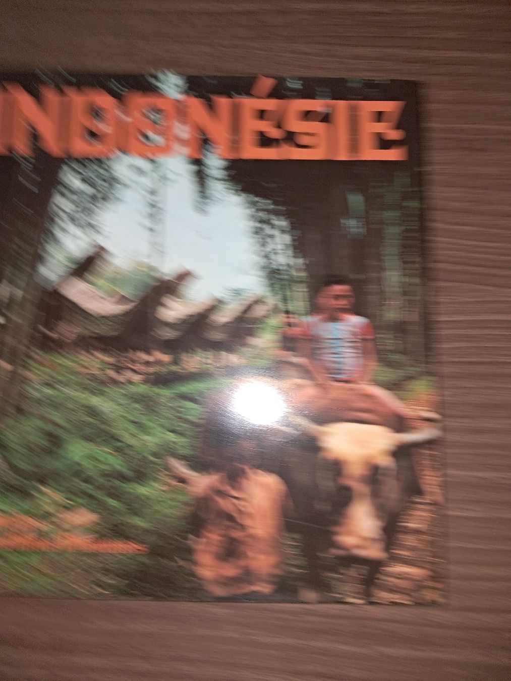 Libri: Livre sur l'indonesie – Usato da Le locle venduto da juliensaran 1