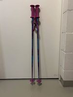 Skistöcke (90cm)