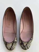 Pretty Ballerinas Ballerina python Gr. 38