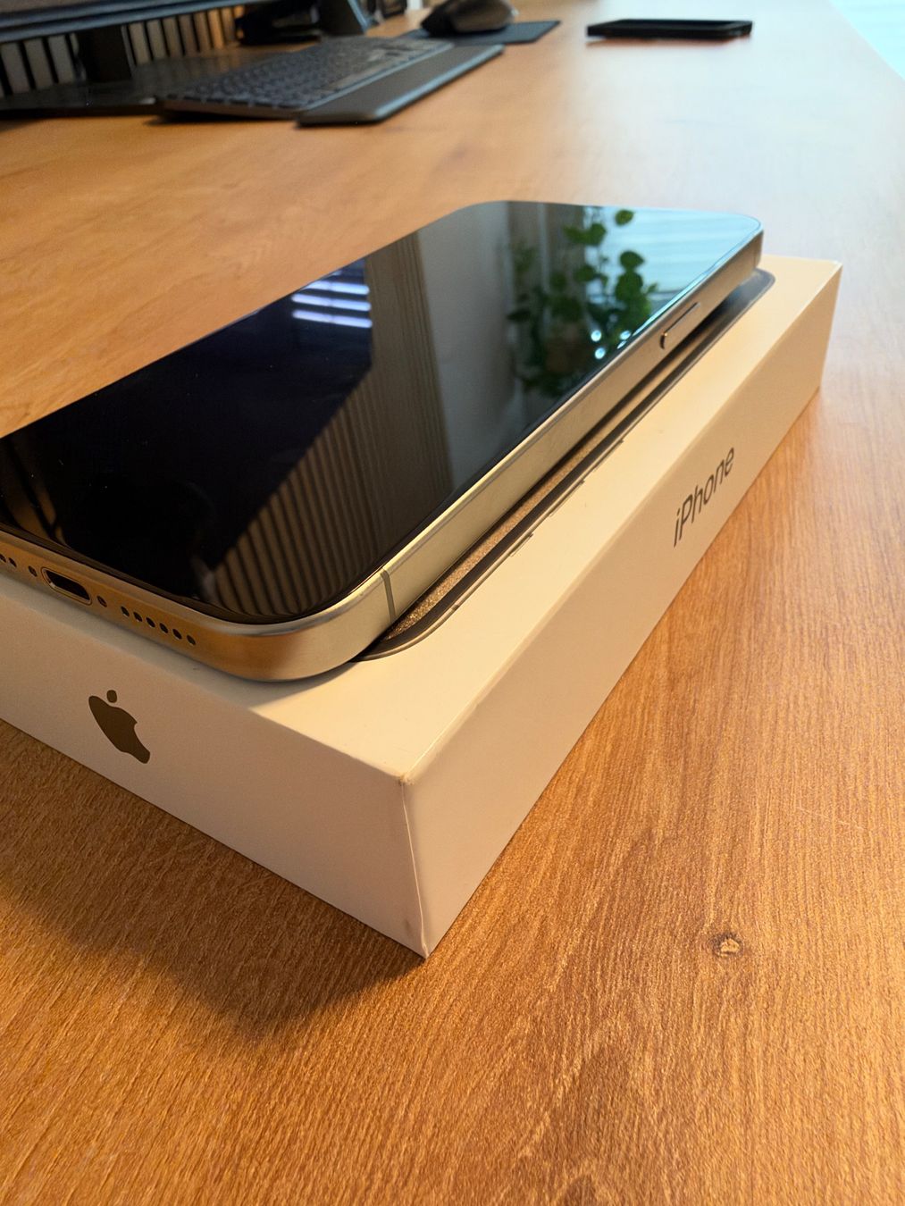 Apple Telefoni cellulari / Smartphones: iPhone 15 Pro Max | White Titanium | 256 GB – Usato da Reinach BL venduto da Remox19 2