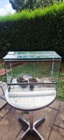 Terrarium Glas 60 x 40 x 30