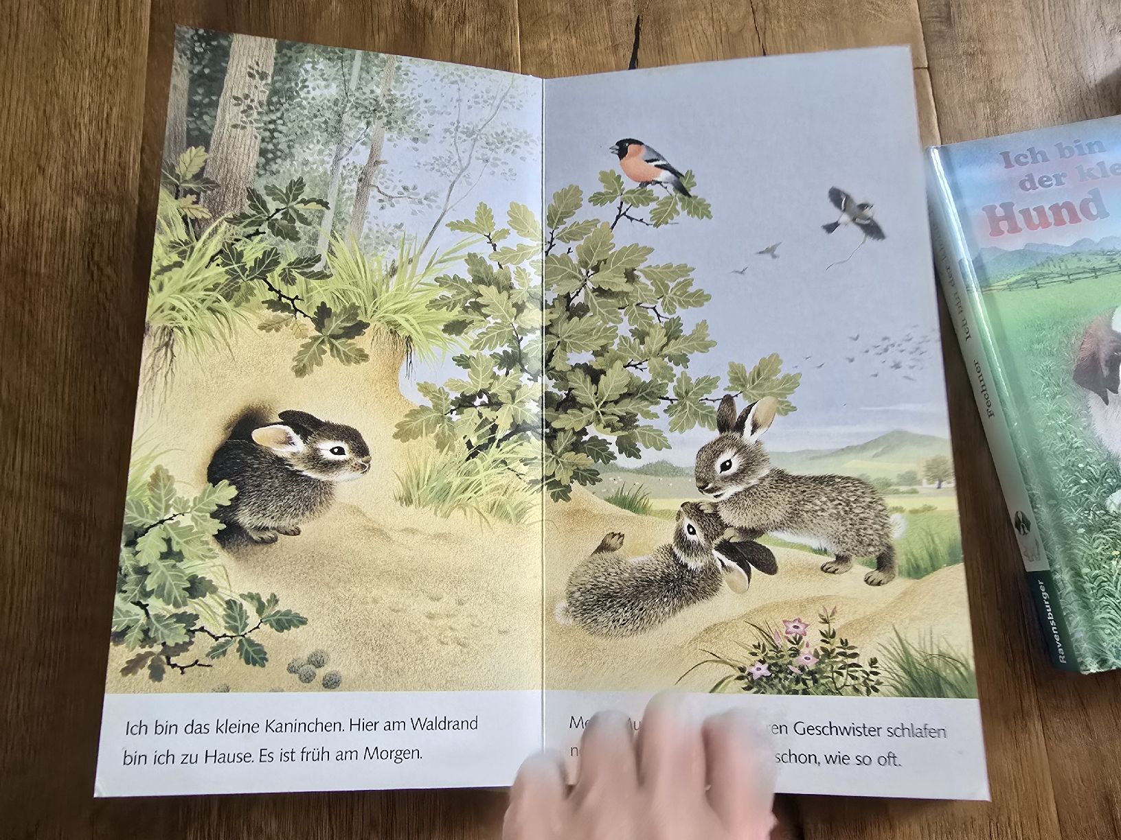 Bücher: 5er Set Kinderbücher "Ich bin..." Ravensburger set – Gebraucht aus Wittenbach von Tigerlili 4
