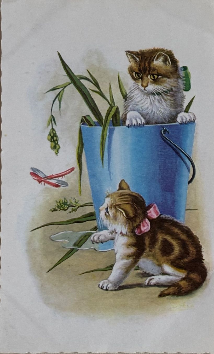 Ansichtskarten: Katzen – Gebraucht aus Frauenfeld von Merk52