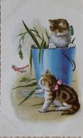 Katzen