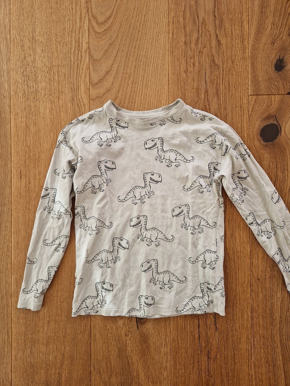 H&M Pullover & Sweatshirts: Langarmshirt H&M Dinosaurier – Gebraucht aus Eschenbach SG von SanFranciscoCalifornia