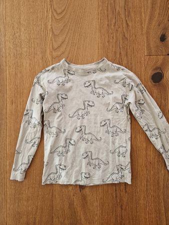 Langarmshirt H&M Dinosaurier