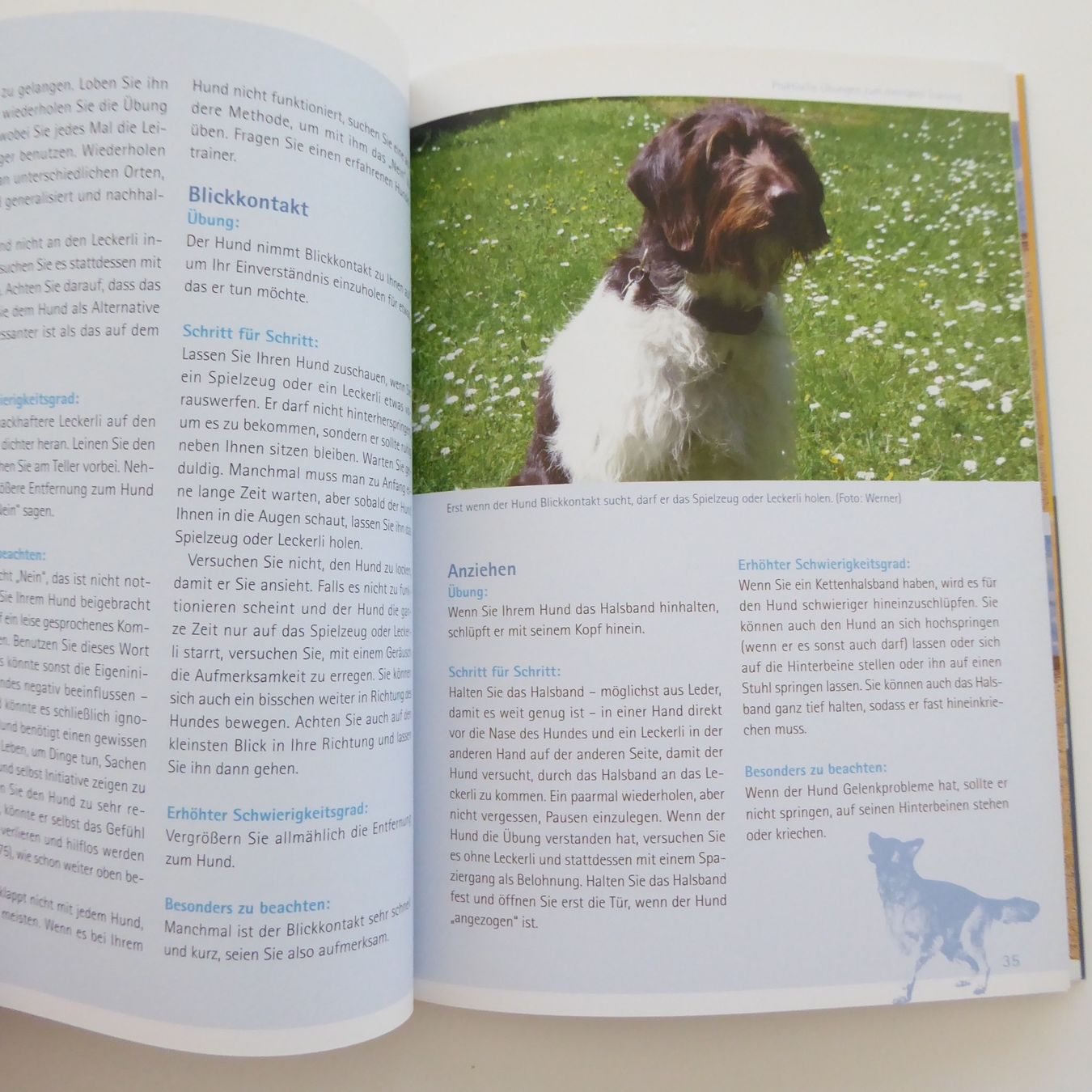 Libri: Mentales Training für Hunde – Usato da Basel venduto da Kunterbunt12 6