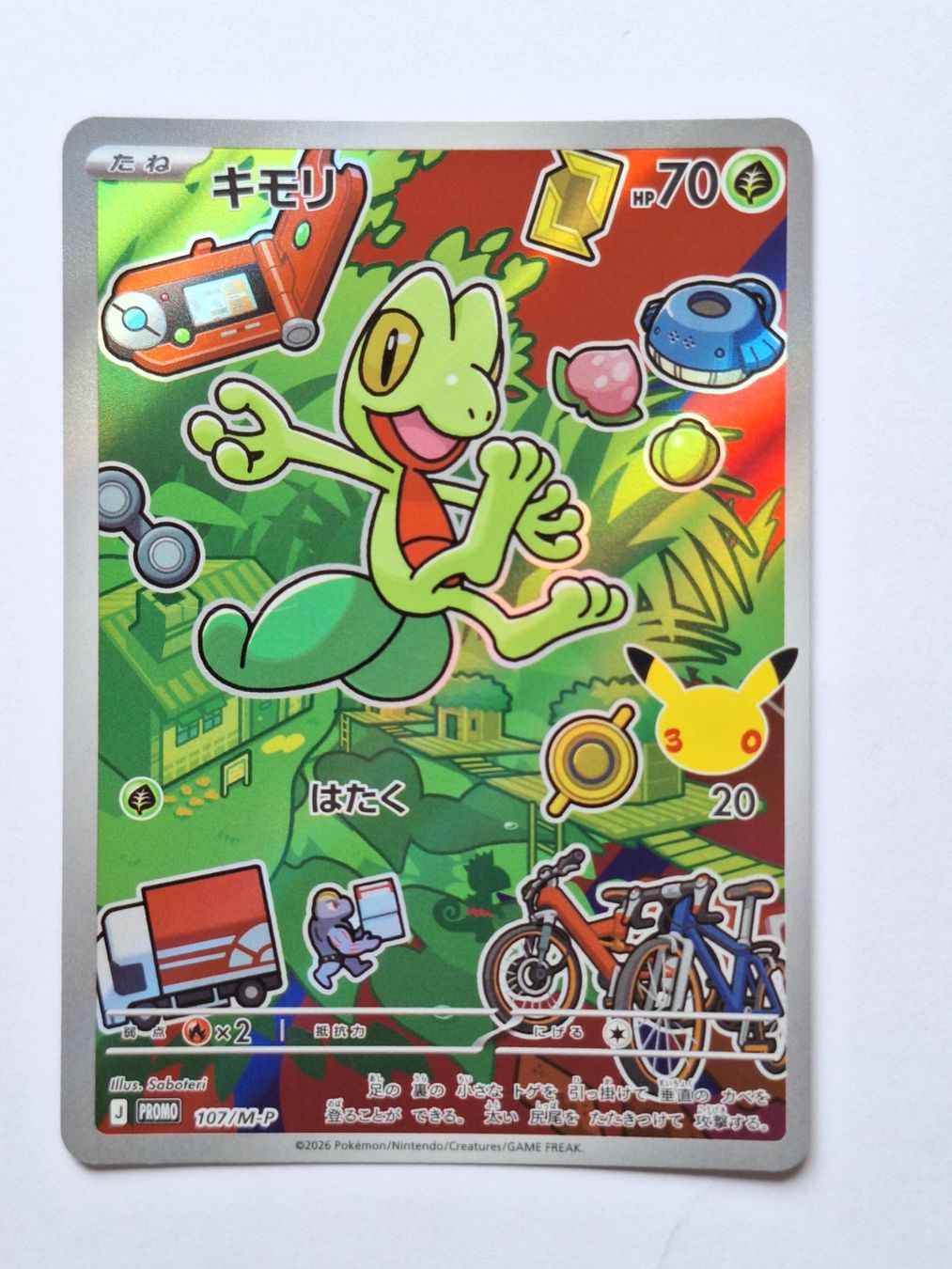 Pokémon Sammelbilder & Trading cards: Pokémon First Partner Serie Gen. 3 Torchic, Mudkip, Treecko – Gebraucht aus Gross von Lybeat 2