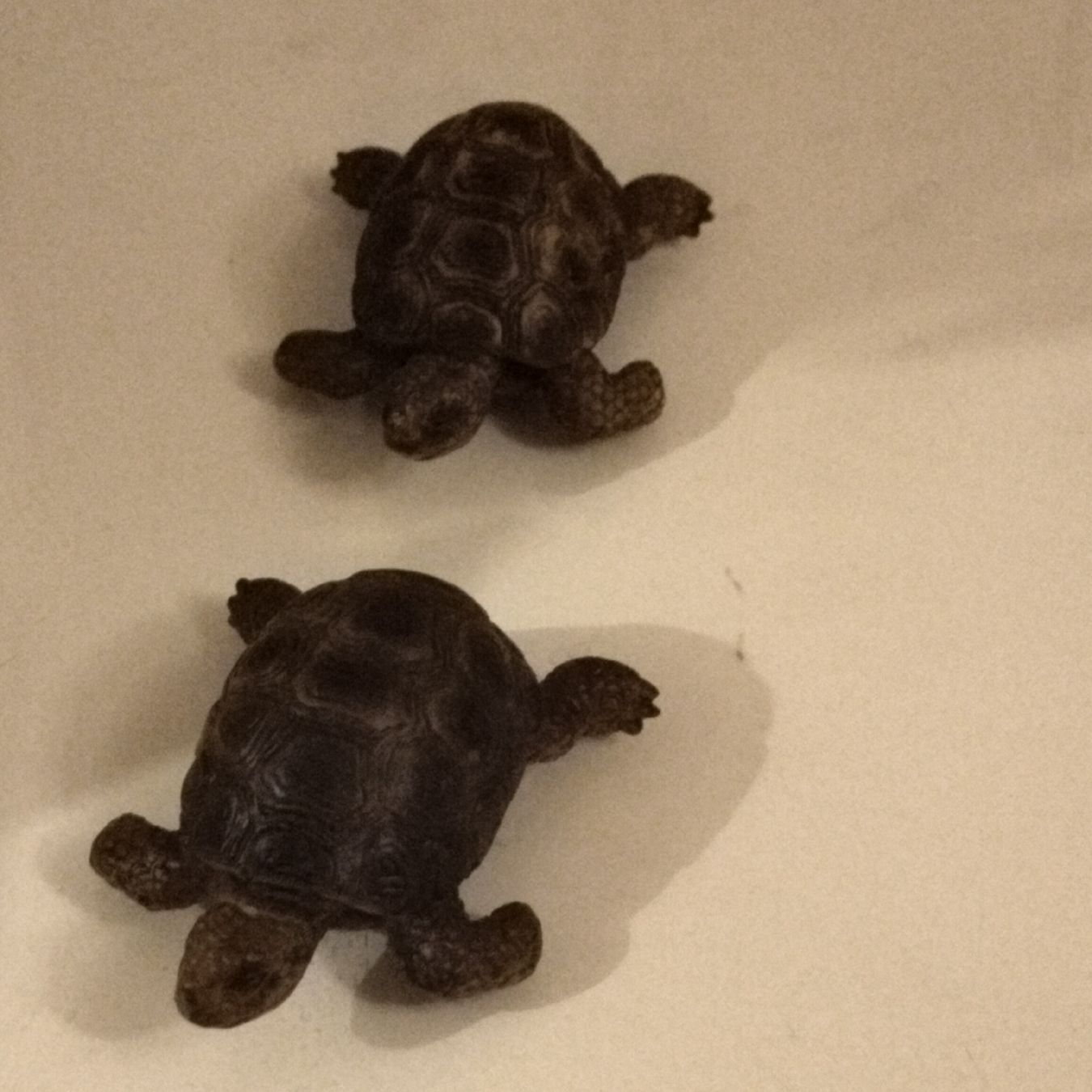 Schleich Statuette: Zwei Schleich Schildkröte Schildkröten – Usato da Basel venduto da Meda.moja 1