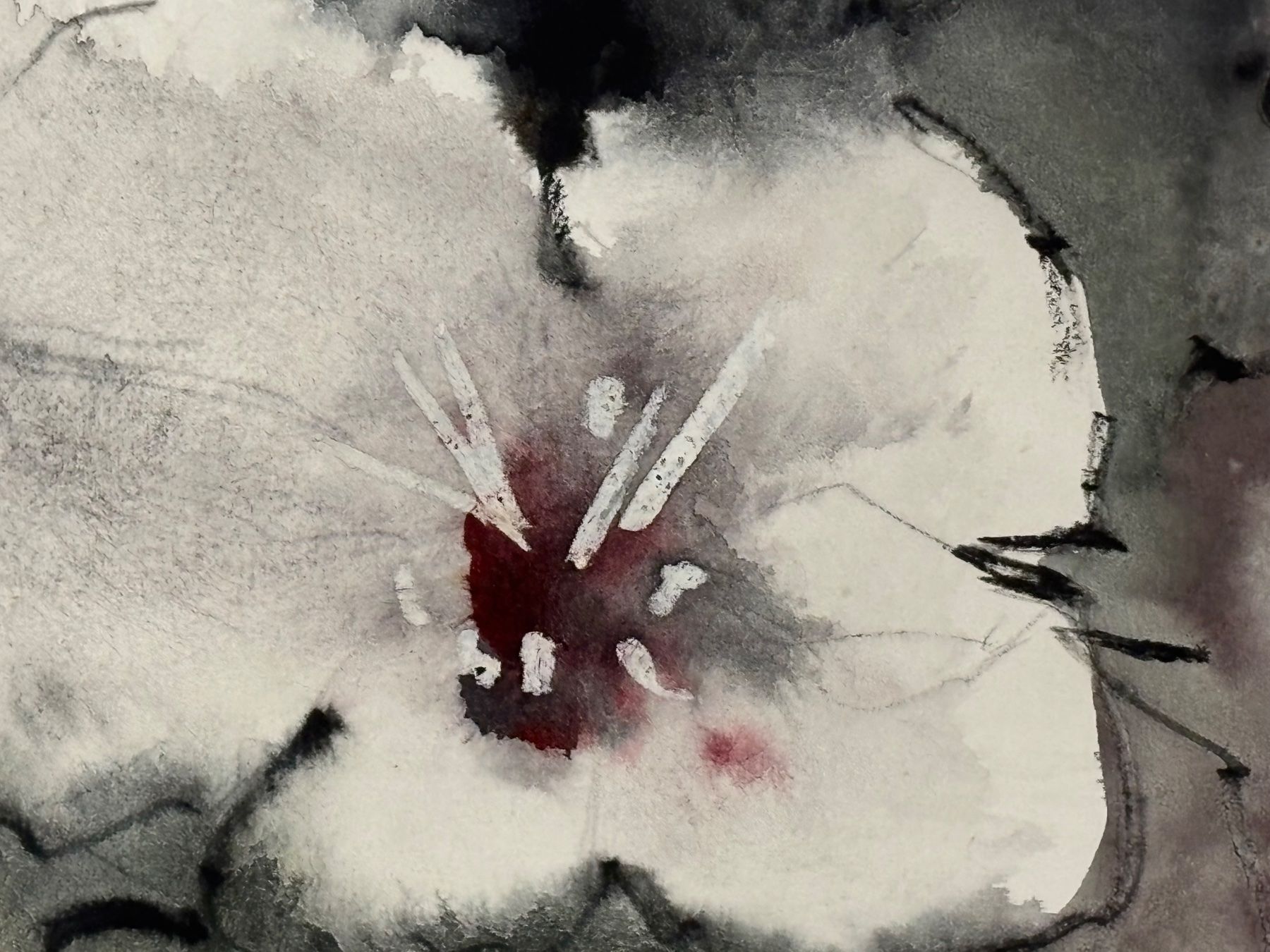Gemälde: Gemälde Blumen von Tonio Frasson – Gebraucht aus rotkreuz von baudisch 4