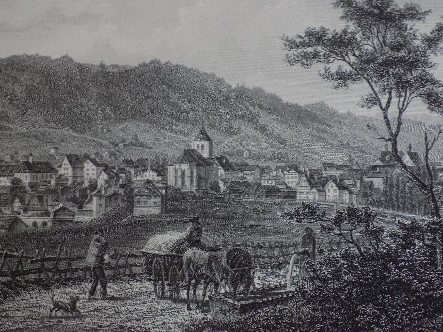 Incisioni: Appenzell Stahlstich – Usato da Risch venduto da Rischli15 1
