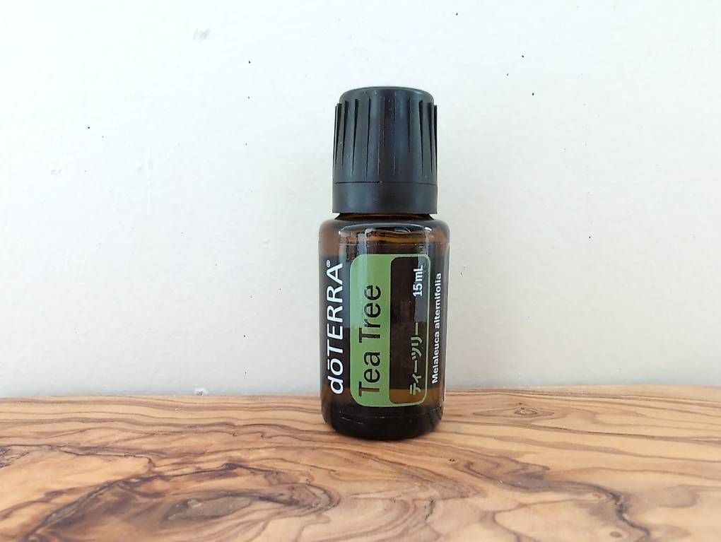 Doterra Oli essenziali: [NEU/ungeöffnet] doTERRA Tea Tree 15ml – Nuovo e nell'imballaggio originale da Morschach venduto da be_la