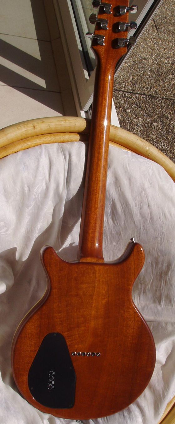 Hamer Strumenti musicali: Guitare électro-acoustique HAMER Duotone. – Usato da Boussens venduto da catfood01 1