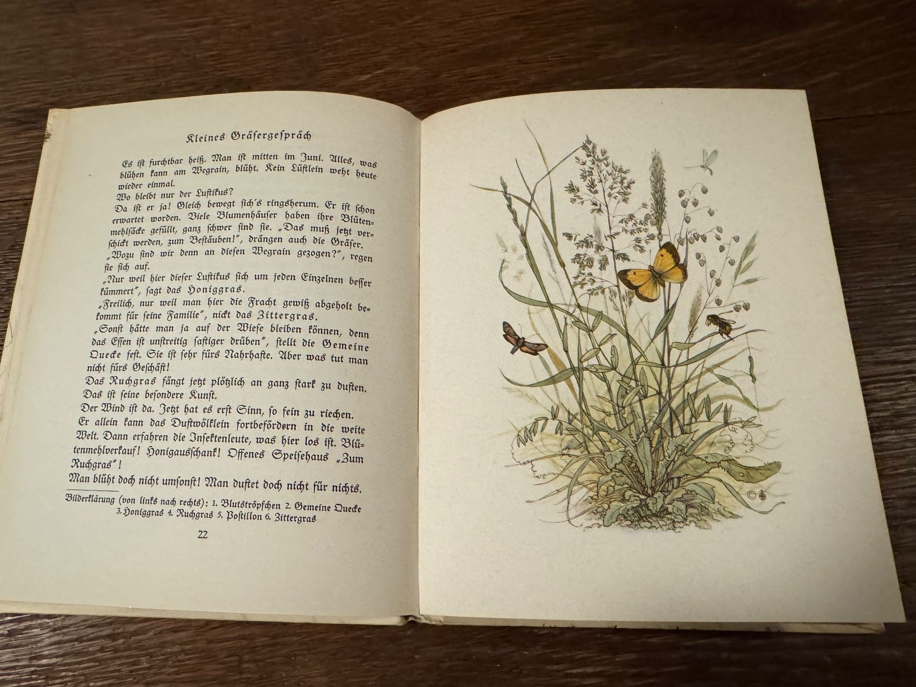 Bücher: Buch Die vom Wegrain Marga Müller E. Wenz-Dietor 1940 – Gebraucht aus Rifferswil von reb_jpx2 3
