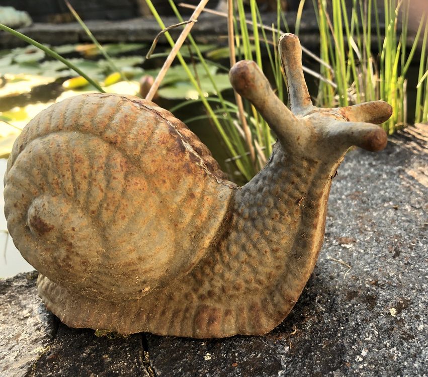 Sehr alte MetallSchnecke Kriechtier für den Gartenteich Kaufen auf