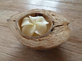Blütenkerze in halber Kokosnuss