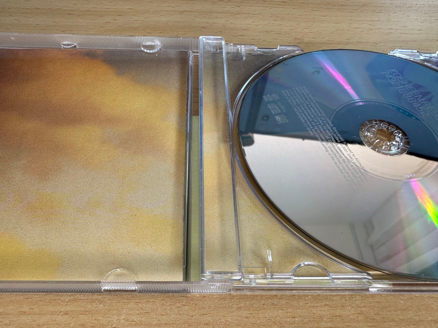 CD: Kosheen – Resist – Usato da Rikon im Tösstal venduto da Alpenmutz 2