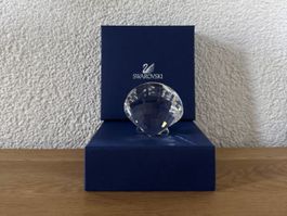 Swarovski Kristall-Jakobsmuschel-Ornament - 833506