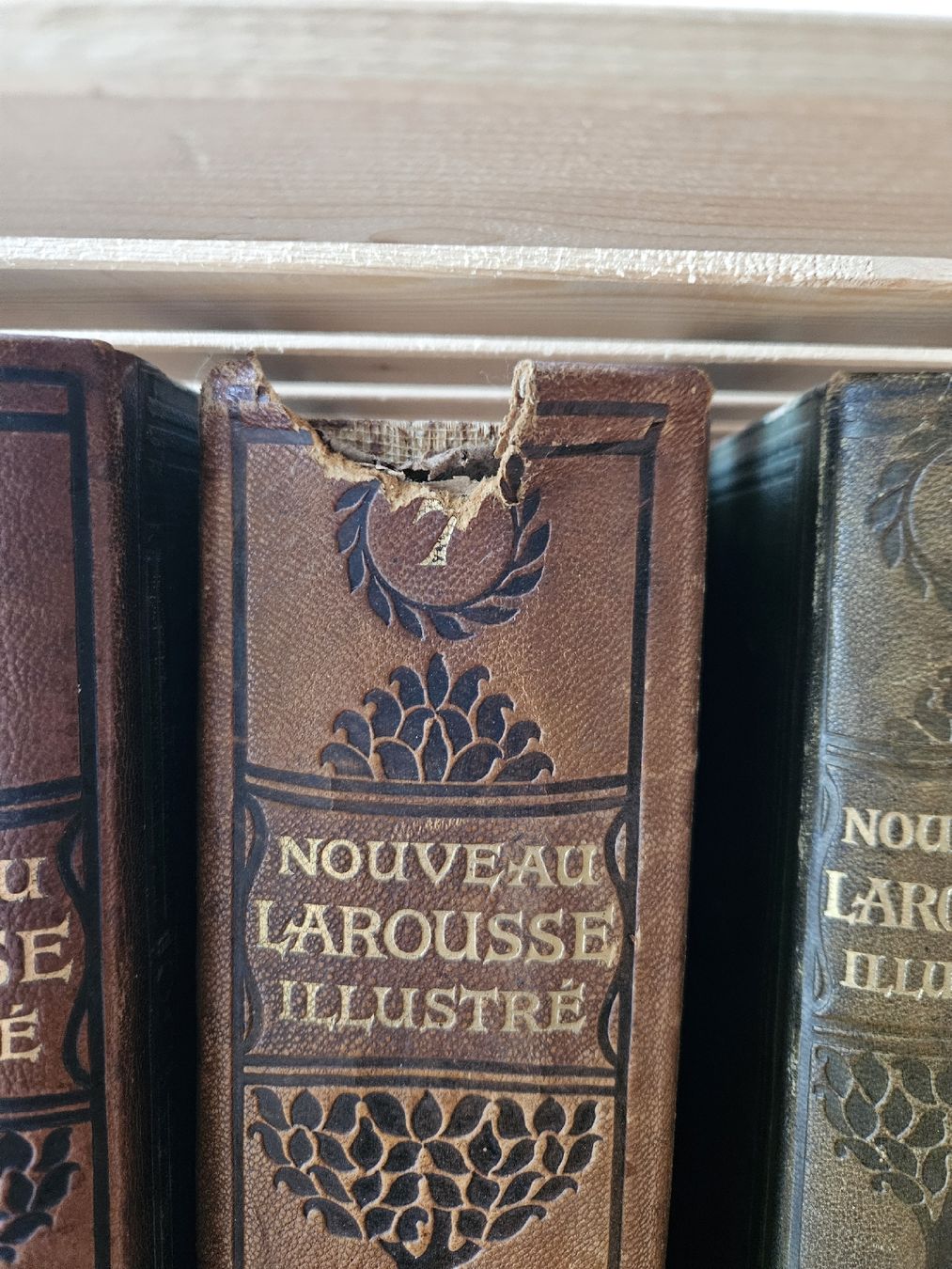 Libri: Nouveau Larousse illustré – Usato da Delémont venduto da LeaCai 1
