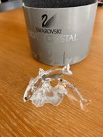 Three south sea fish Swarovski Figur ovp neuwertig top SALE