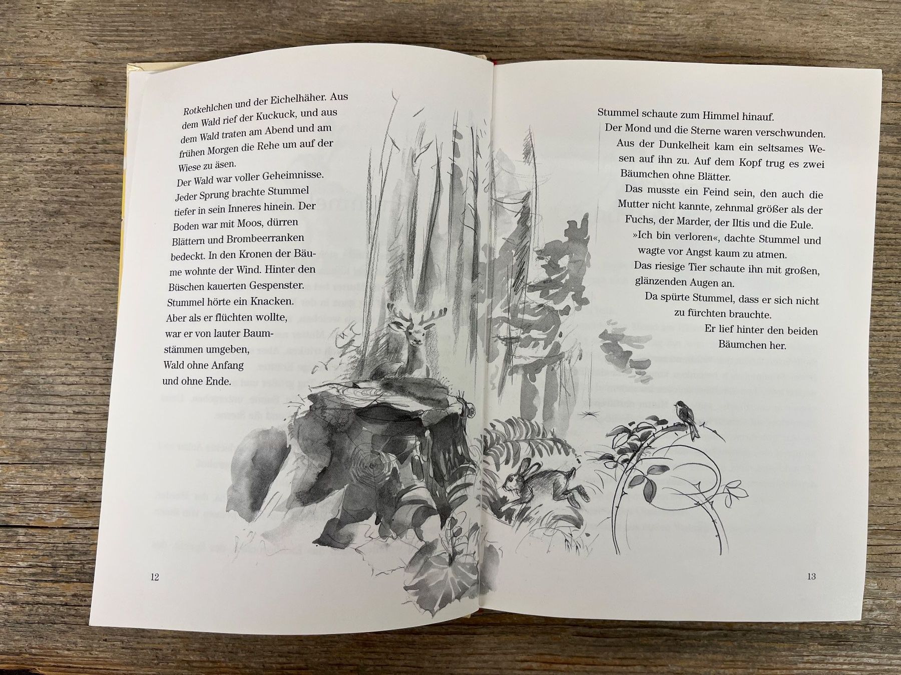 Libri: Vorlesebuch: Stummel ein Hasenkind wird gross, 1. Aufl. 1999 – Usato da Pfäffikon ZH venduto da buresi 3