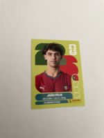 FIFA WM 2026 João Felix POR 17