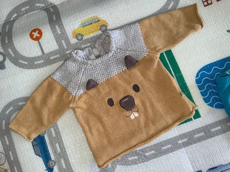 Kinder Pullover Grösse 62 braun mit Bär Motiv