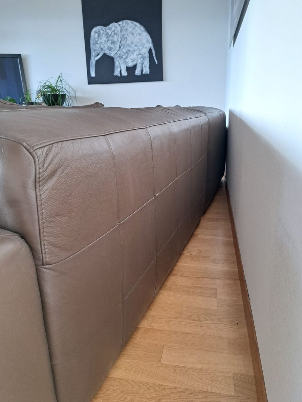 Interio Divani: Elegante Leder Couch -  braun – Usato da Männedorf venduto da ste_9lfs 6