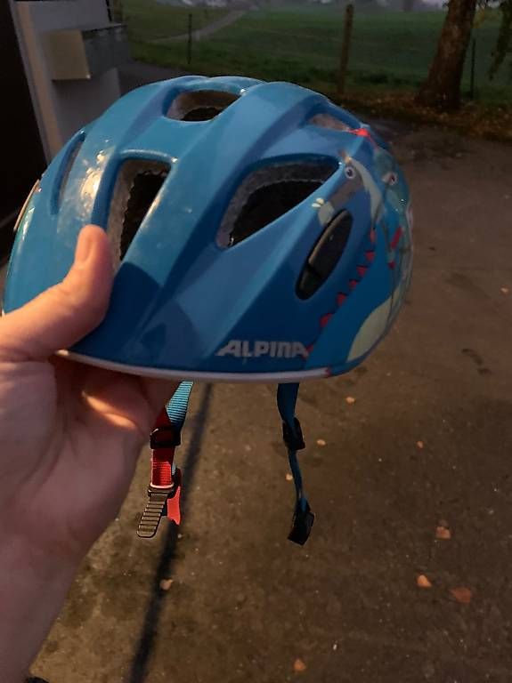 Alpina Caschi: Velohelm Kleinkind – Usato da Buochs venduto da Sandrawy 1