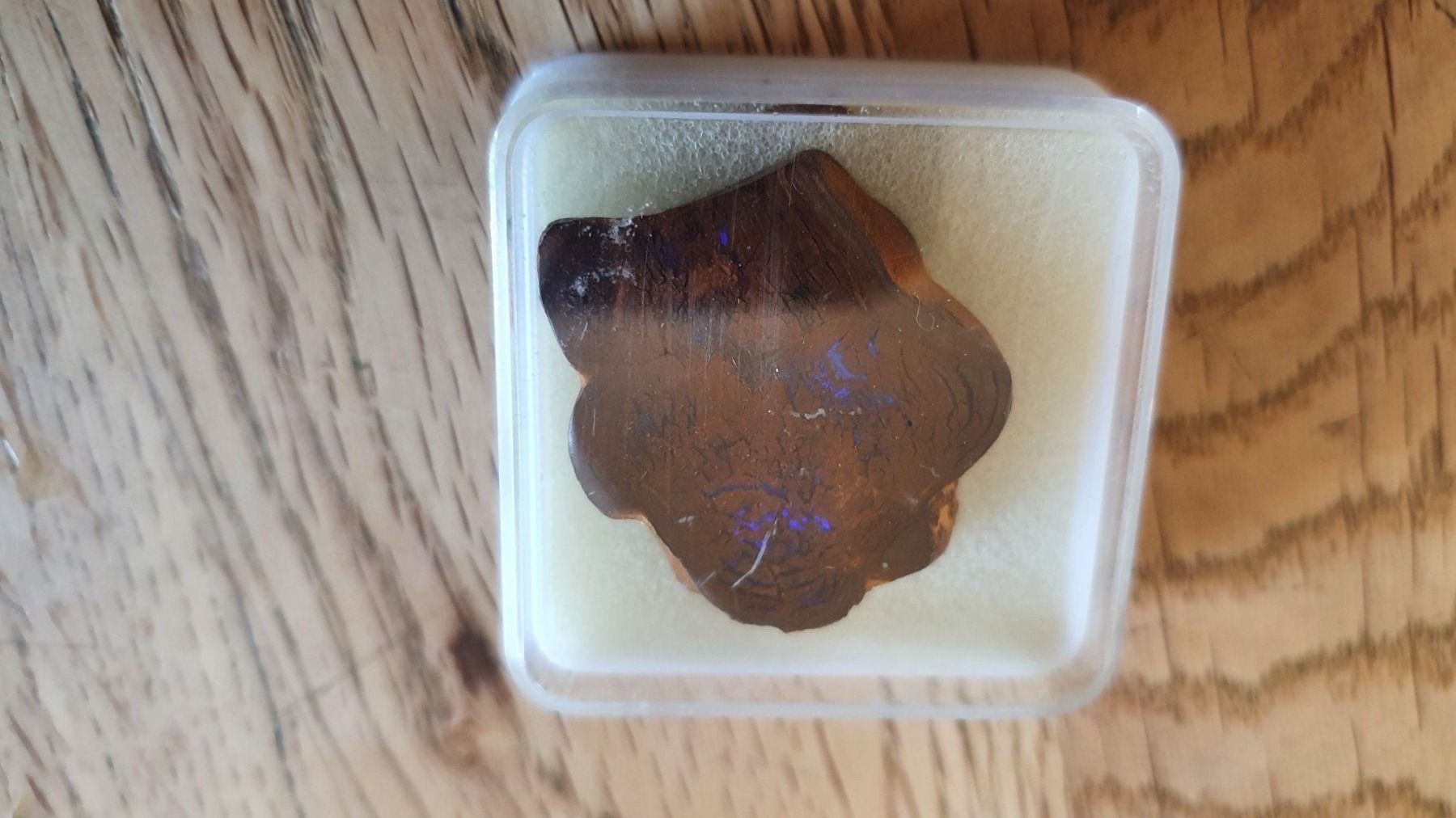 Fossili: Boulder Opal – Usato da Flawil venduto da Pinkmalibu 2
