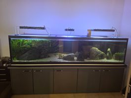 Aquarium Unterschrank mit Beleuchtung
