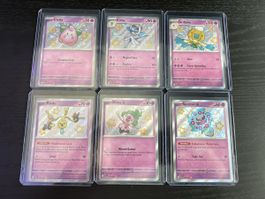 Pokemon Karten Paldean Fates Englisch 