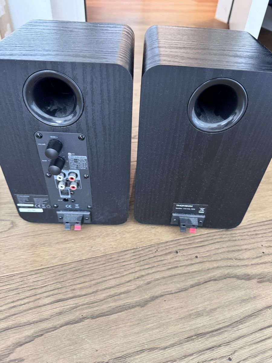 Casse acustiche: Thomson WS600DUO Lautsprecher – Usato da Cham venduto da fuli 1