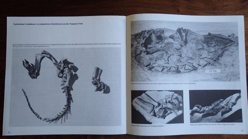 Bücher: Fossilien Bücher/Hefte – Gebraucht aus Rickenbach BL von Oktober68 6