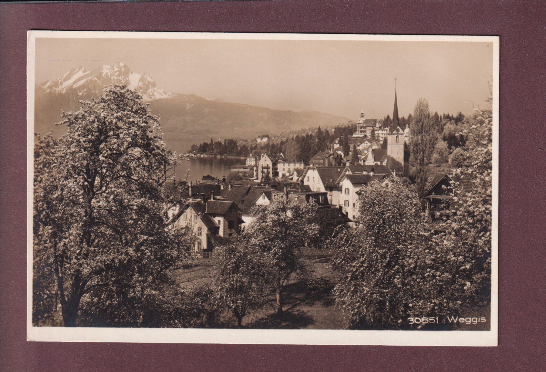 Cartoline postali: WEGGIS - Kirche - Pilatus – Usato da Pully venduto da nicecards
