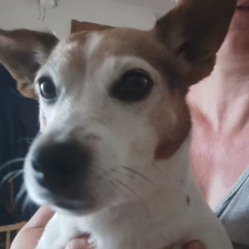 Profile image of sandywilli