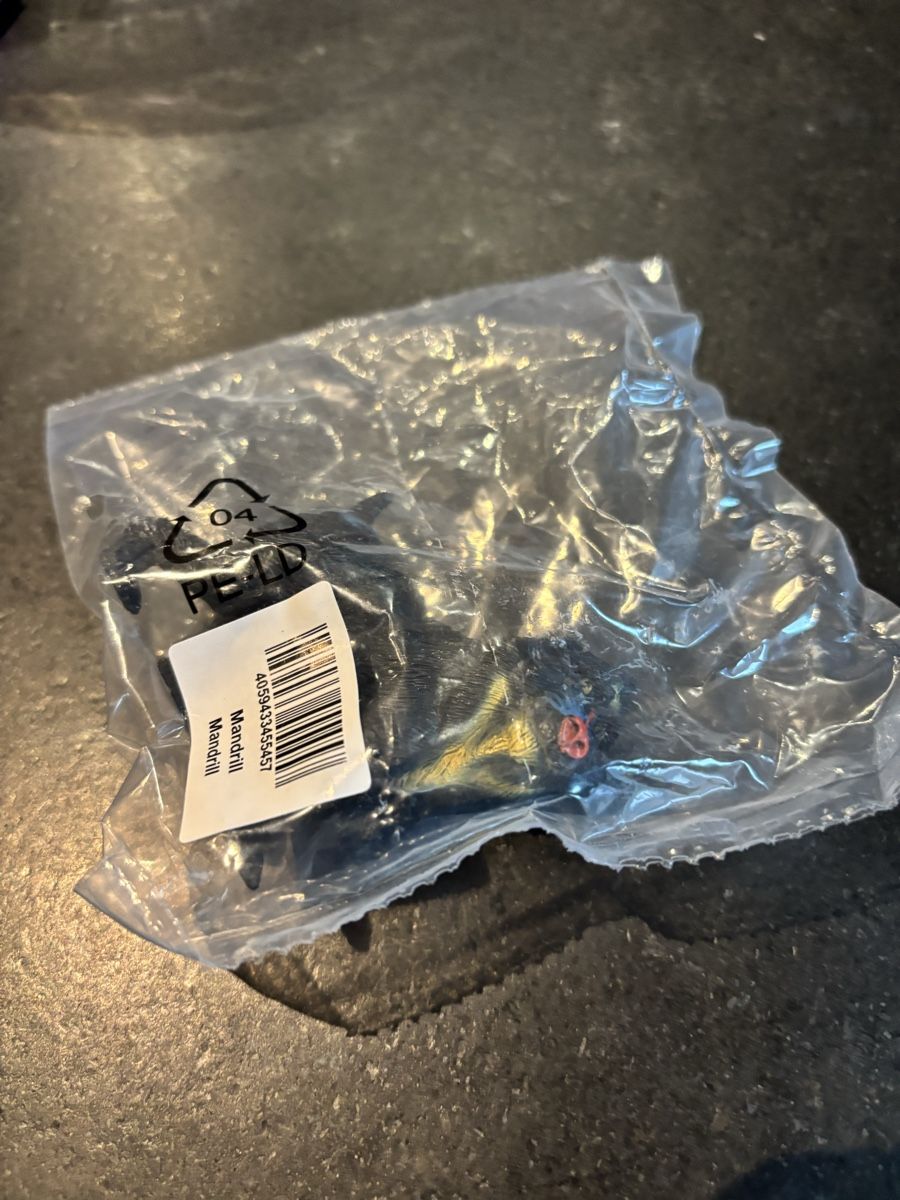 Schleich Figurines: Schleich Tierfigur Affe Mandrill Originalverpackt! – Neuf avec emballage d'origine à Bürglen TG par Gitzi 1
