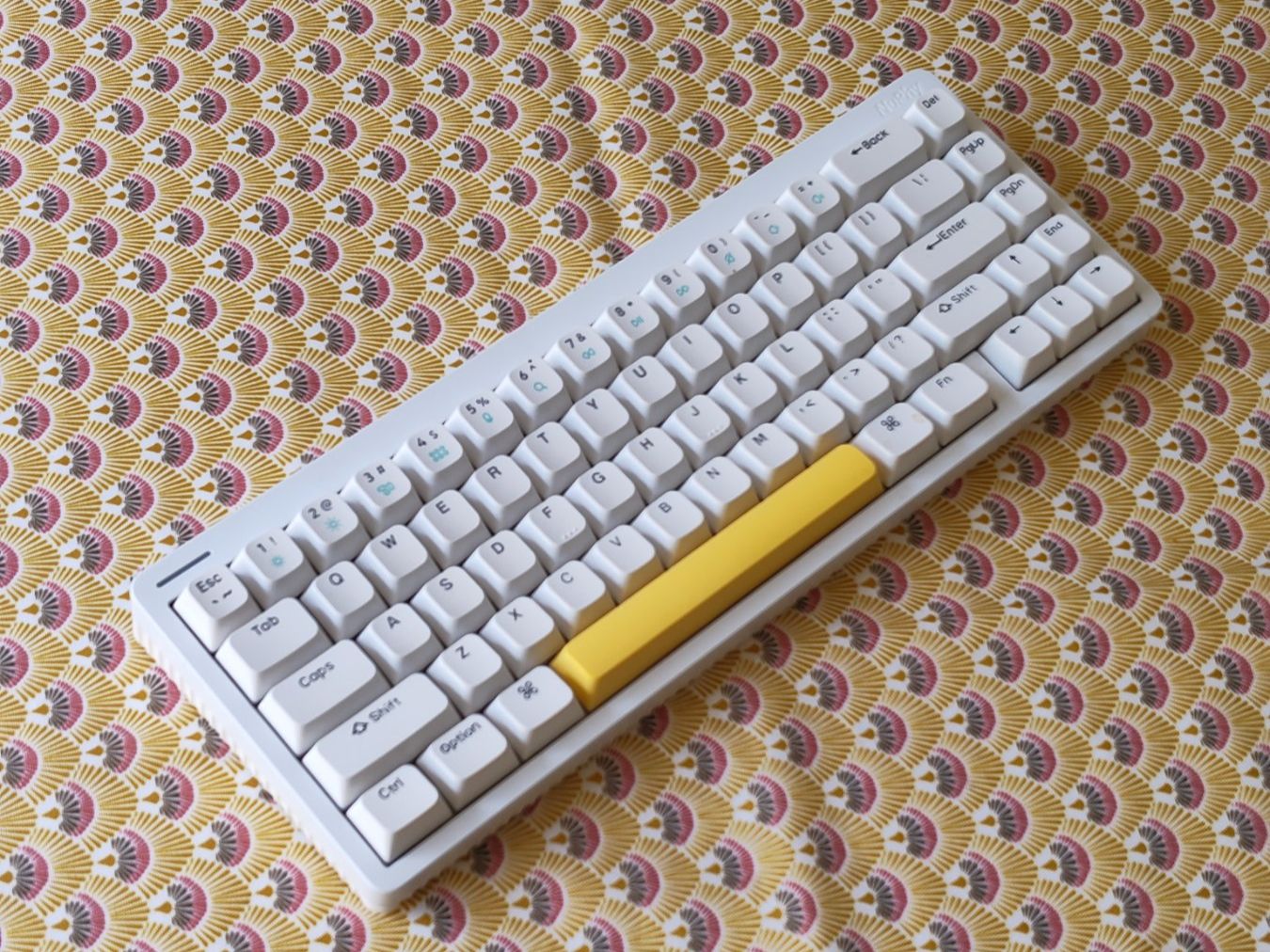Tastiere: Nuphy HALO 65 Wireless Keyboard – Usato da Renens VD venduto da salutctitou