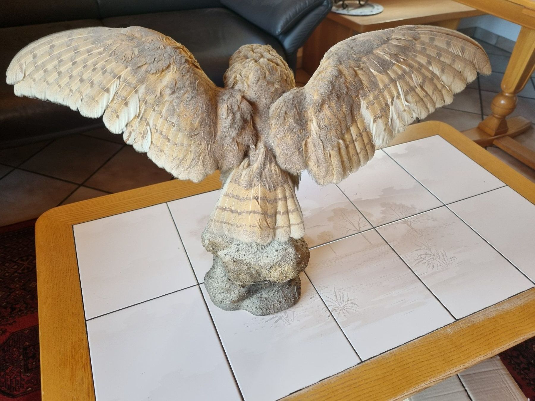 Il mondo degli animali: Eule ausgestopft – Usato da Rheinklingen venduto da Weinberg14 1