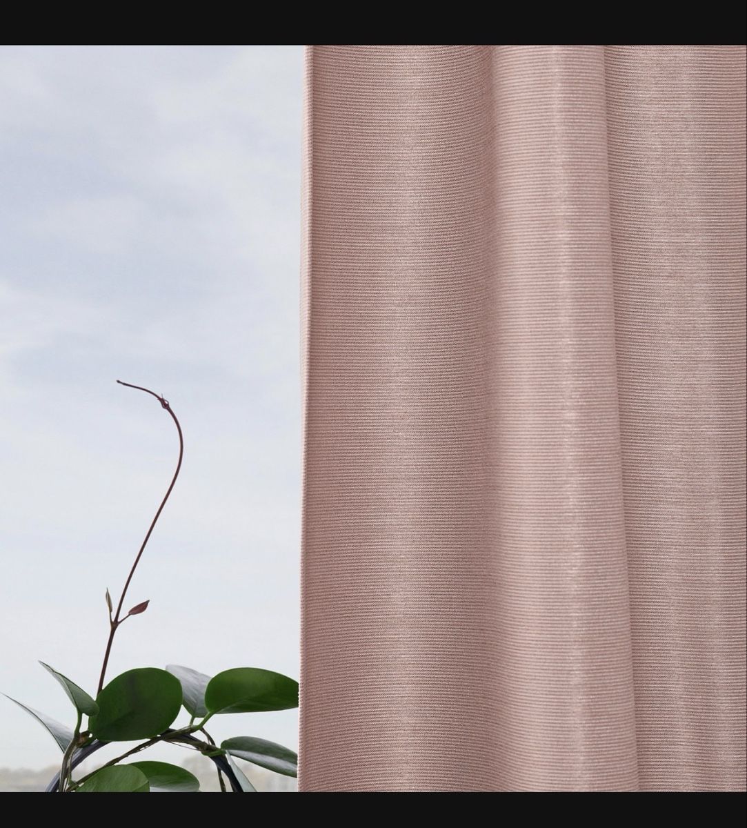 Ikea Vorhänge: VILBORG Gardinen, rosa, 2er Pack – Neu (gemäss Beschreibung) aus Bern von WiederWert 2