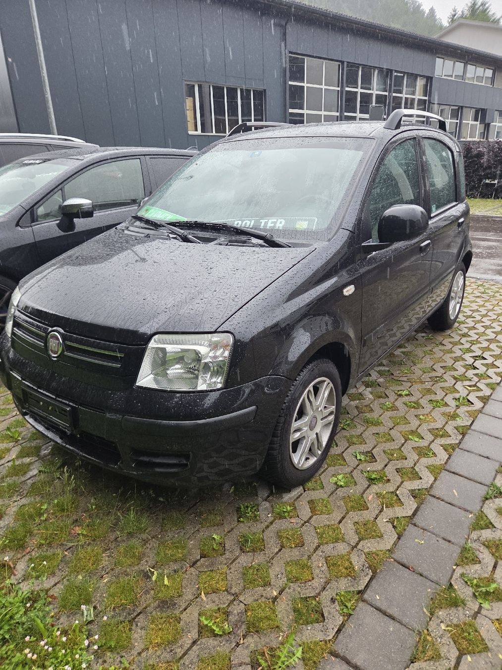 Fiat Automobili: Fiat Panda 1.2  – Usato da Dussnang venduto da Patrick18001600