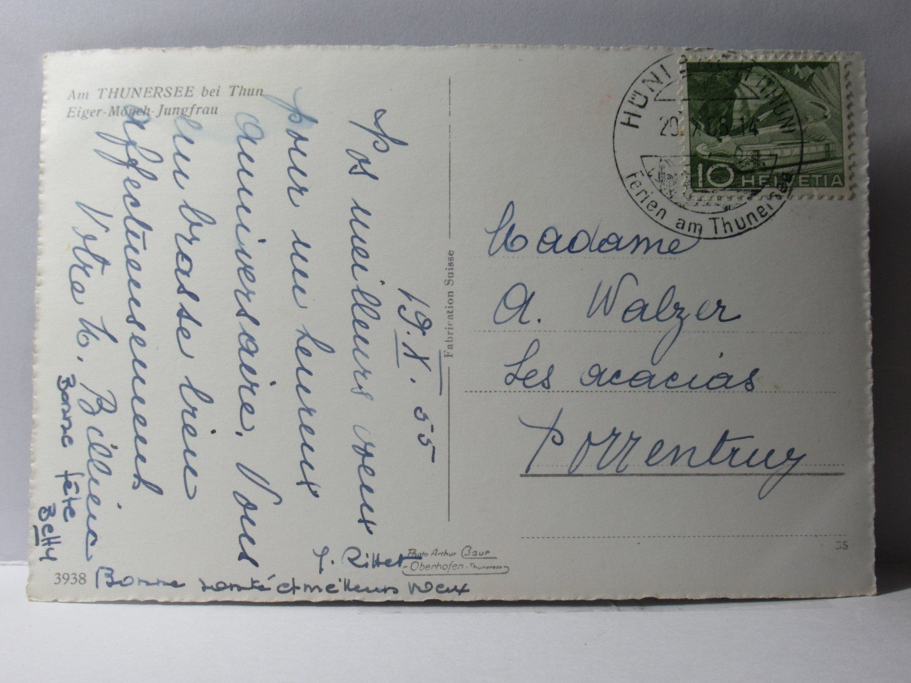 Ansichtskarten: Am Thunersee , Schwäne 1955 – Gebraucht aus Grenchen von Bluemchen1900 1