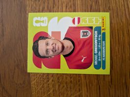 Panini Österreich 19