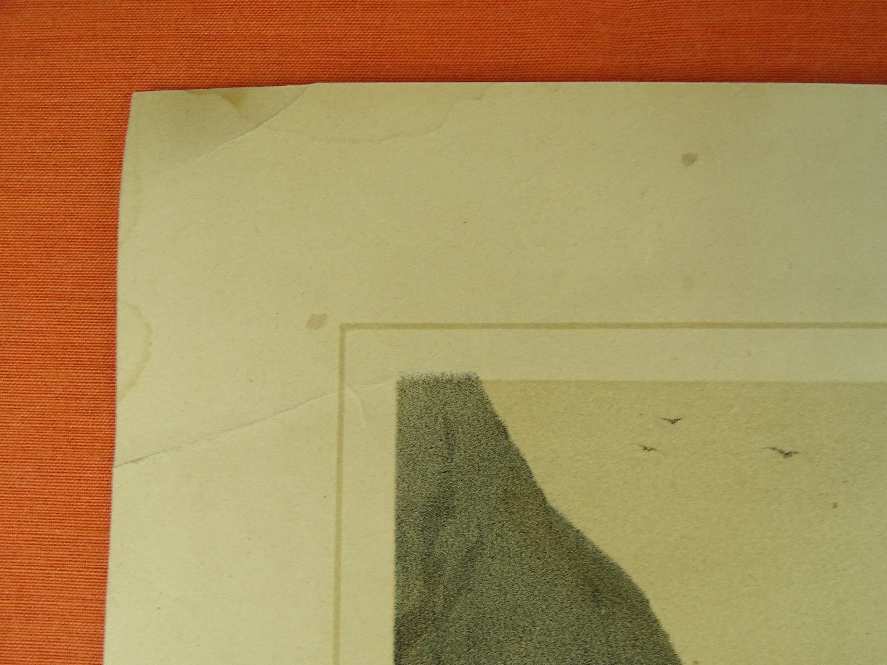 Grafica & Litografie: GEMSENJÄGER LITHOGRAPHIE UM 1860 – Usato da Grüningen venduto da Kartensammler 4