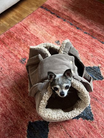 Hundetragetasche Pet&Co, guter Zustand