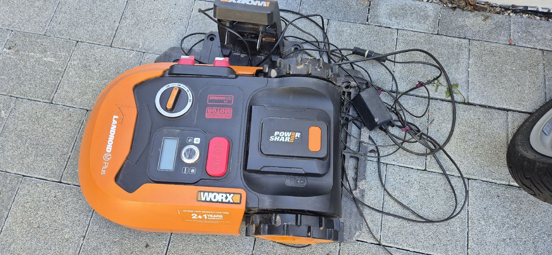 Worx Tondeuses à gazon: Worx WR165 E – D'occasion à Grenchen par Heja1604