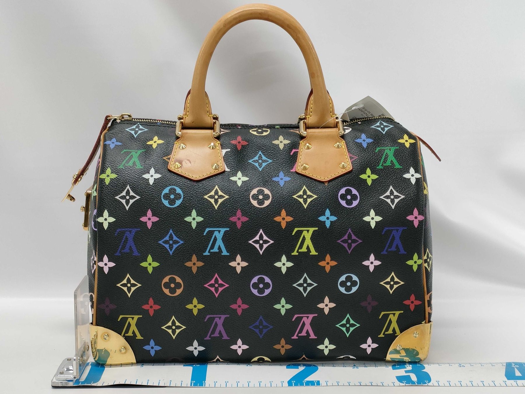 Louis Vuitton Borse da donna: Louis Vuitton Speedy Multicolor, Limited Edition – Usato da St. Gallen venduto da Love_Luxury 1