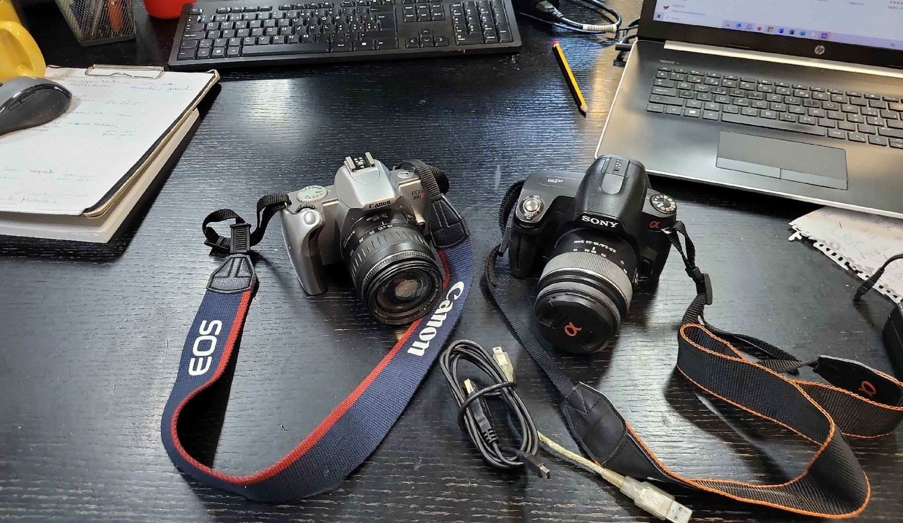 Sony Fotocamera: Canon EOS 300 & Sony a290 mit obiektiven – Usato da Figino venduto da mayam63