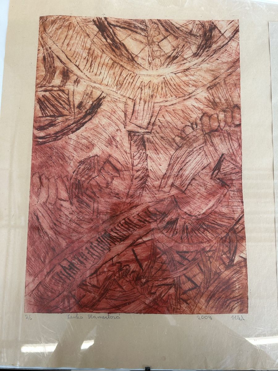 Grafiken & Lithographien: Kunstdrucke Lenka Hamerlova 2009, 2011 – Gebraucht aus Zürich von BashasBrockenhaus 2