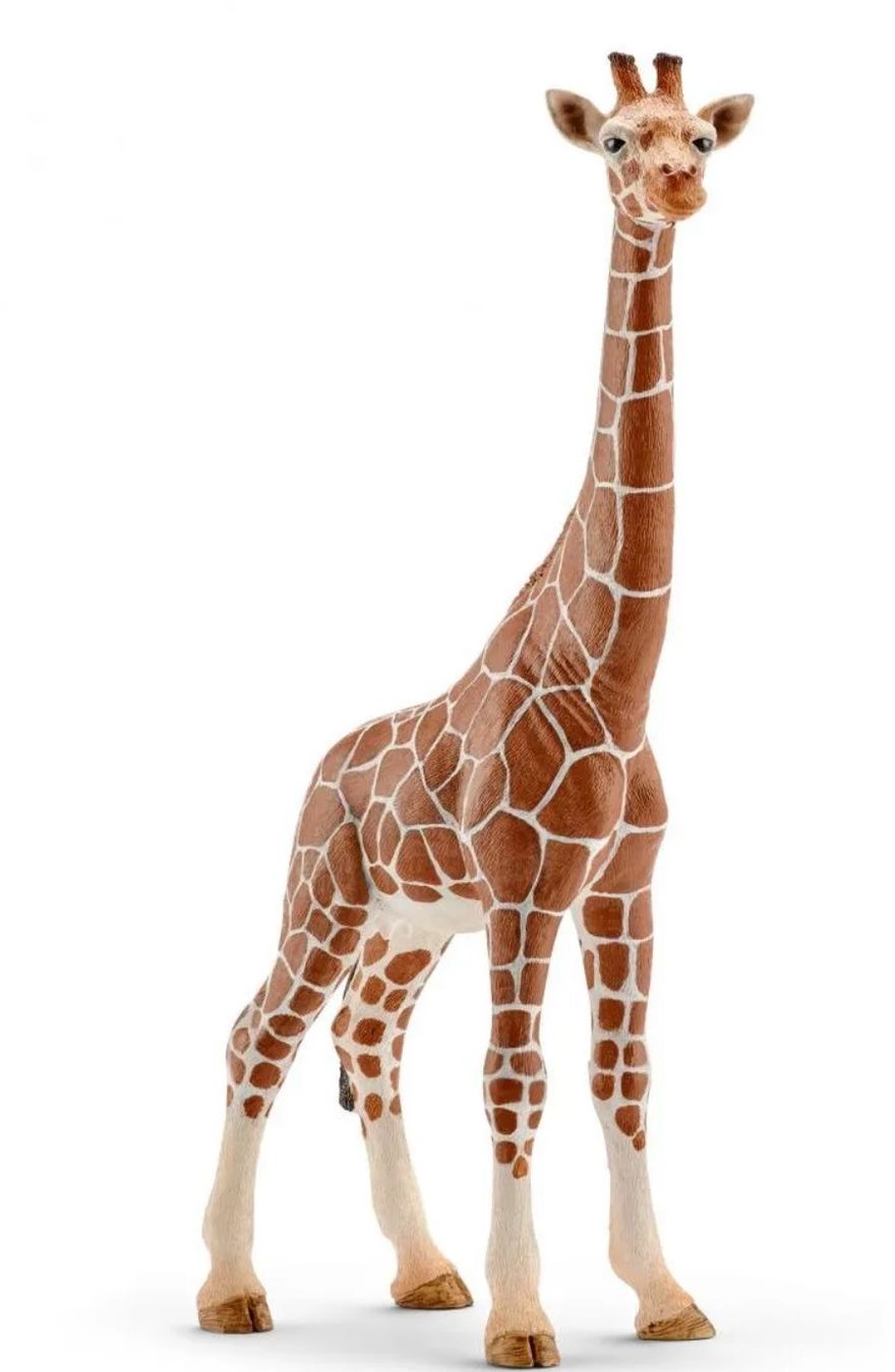 Schleich Giocattoli: schleich 14750 Giraffenkuh – Nuovo e nell'imballaggio originale da Wagenhausen venduto da Svema